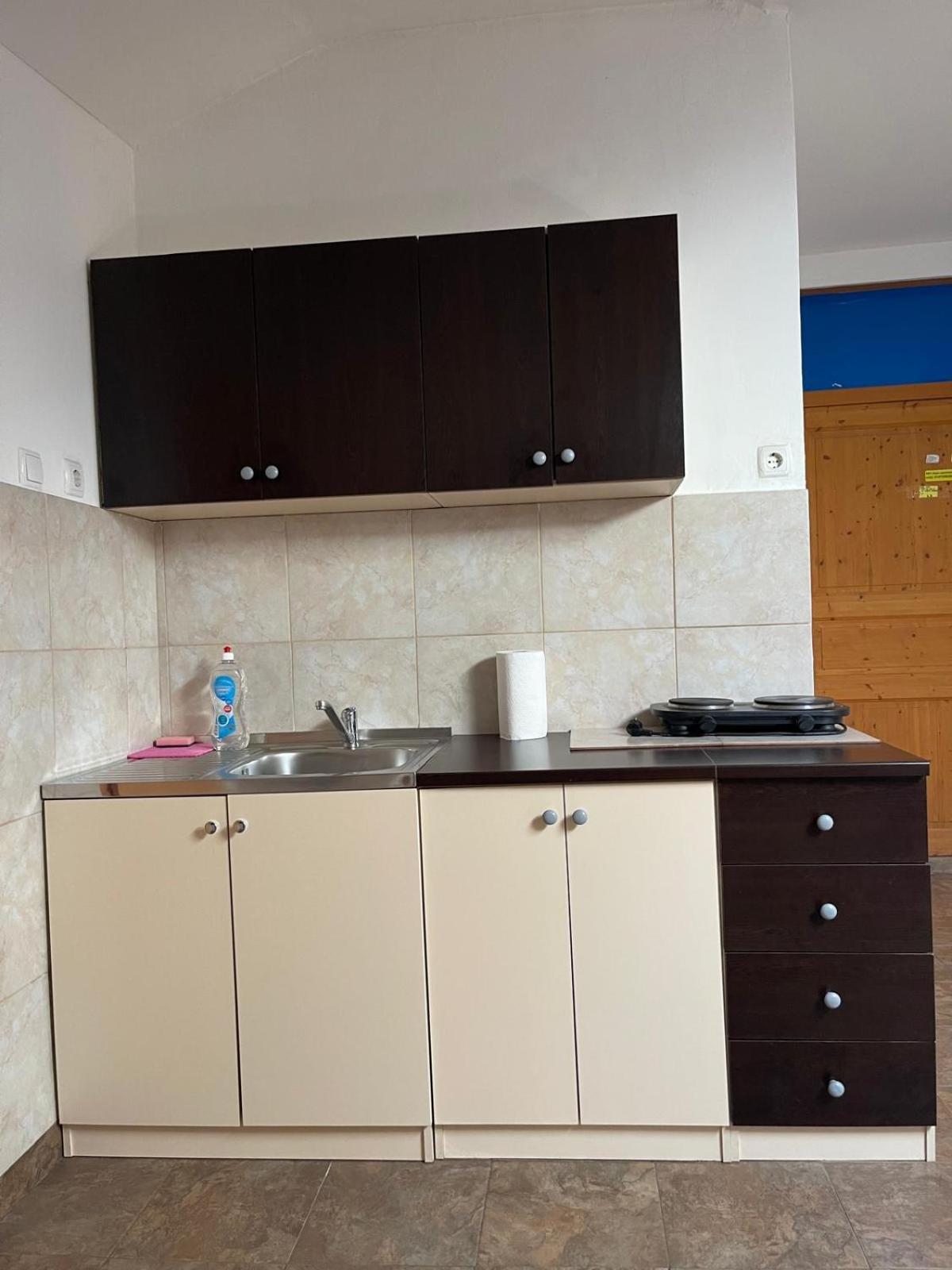 Dejan Apartment-Top Centar Pola Esterno foto